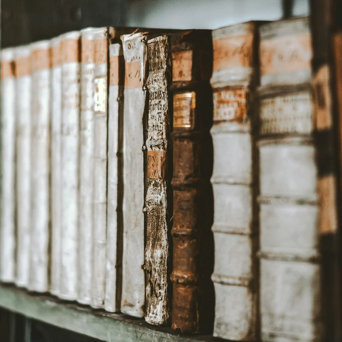 a row of books sitting on top of a wooden shelf